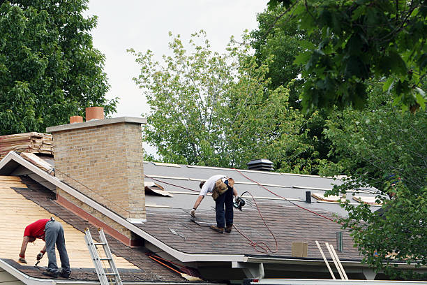 Best Roof Gutter Cleaning  in Avalon, PA